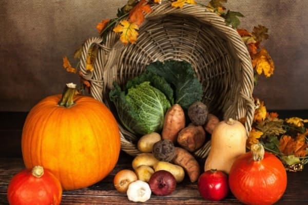 Fresh Fruits and Vegetables