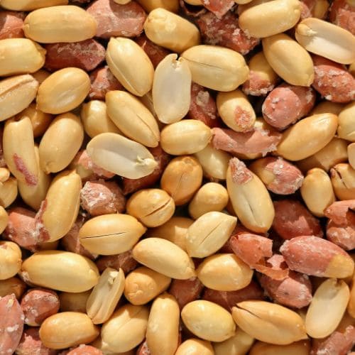Peanuts