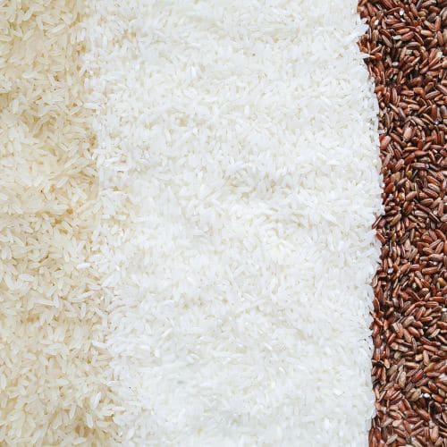 Rice