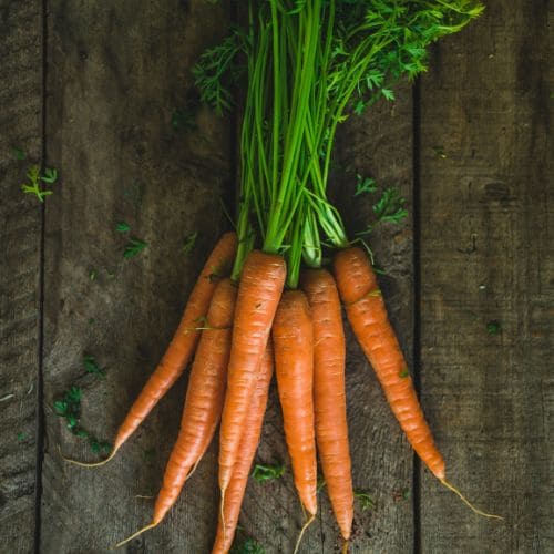 Carrot